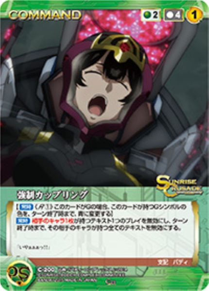 強制カップリング 【SCGN-C200C】