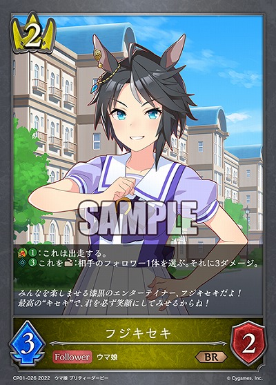 フジキセキ 【CP01/026BR】