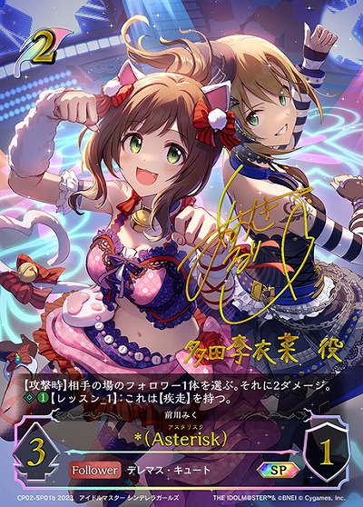 *(Asterisk)(SP)(b) 【CP02-SP01b】