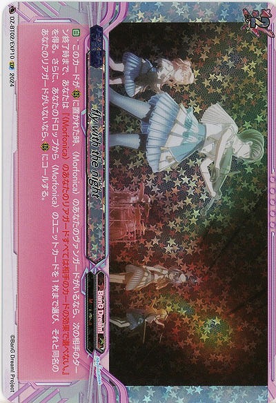 fly with the night(EXP) 【DZ/BT02/EXP10EXP】