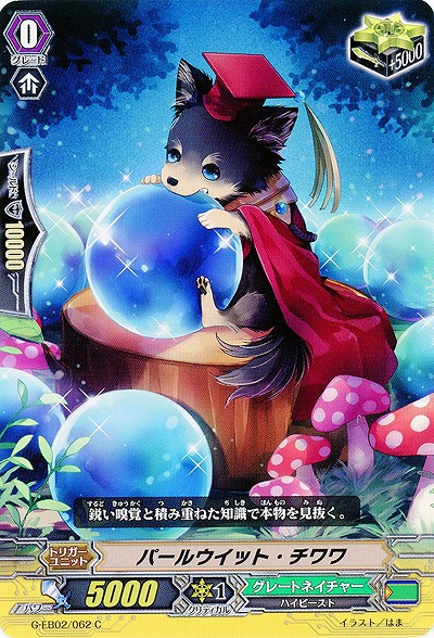 【倉庫在庫】パールウイット・チワワ 【G-EB02/062C】