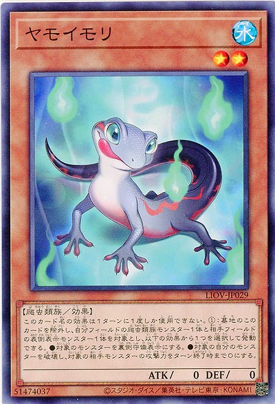 ヤモイモリ【LIOV-JP029】