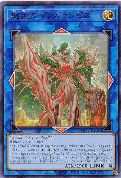 廻生のベンガランゼス【LIOV-JP048UR】