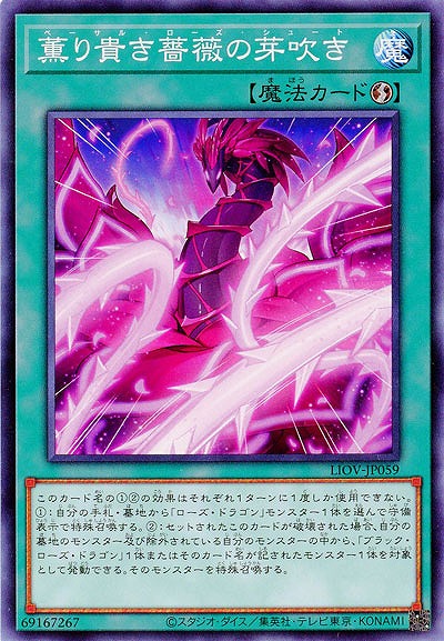 薫り貴き薔薇の芽吹き【LIOV-JP059】