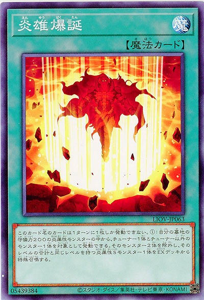 炎雄爆誕【LIOV-JP063】