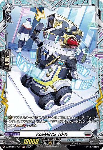 RoaMiNG 10-K(FR) 【DZ-BT10/FR22】