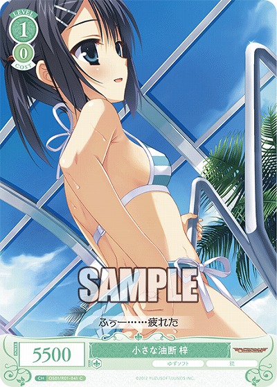 小さな油断 梓 【OS01/R01-041C】