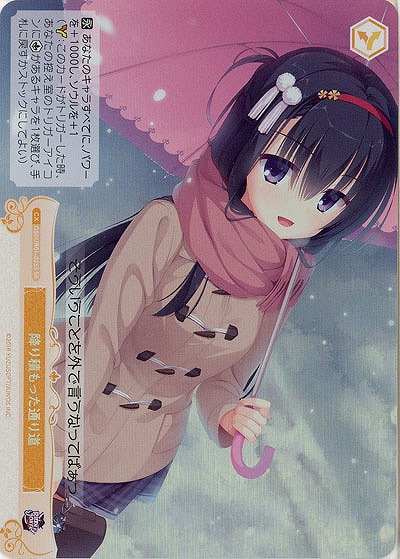 降り積もった通り道(SR) 【OS01/R01-025SR】