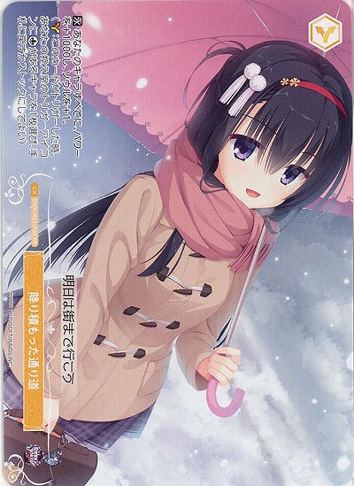 降り積もった通り道(PR) 【OS01/R01-P04PR】