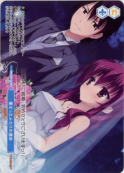 重なったふたりの運命(PR) 【OS01/R01-P13PR】