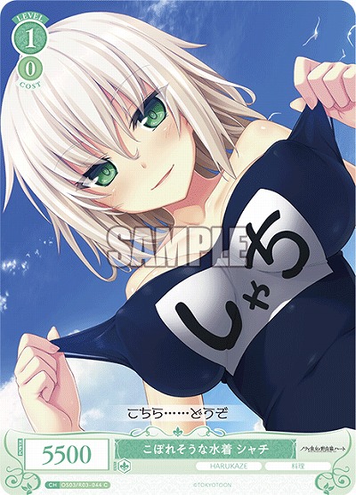 こぼれそうな水着 シャチ 【OS03/R03-044C】