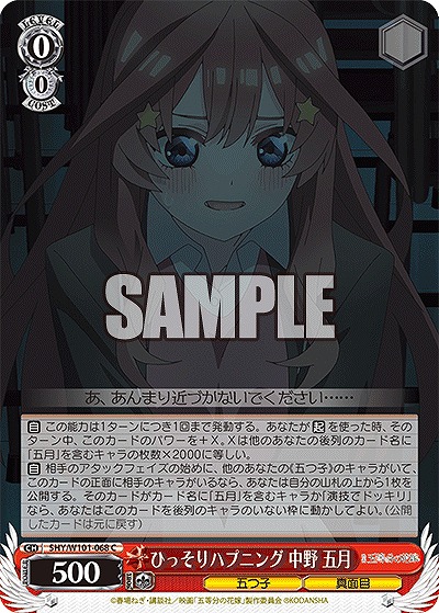 ひっそりハプニング 中野 五月 【5HY/W101/068C】