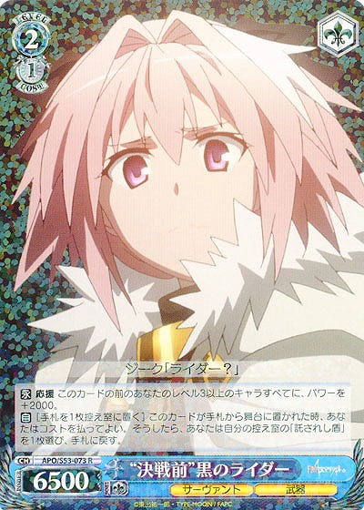 “決戦前”黒のライダー 【APO-S53-073R】