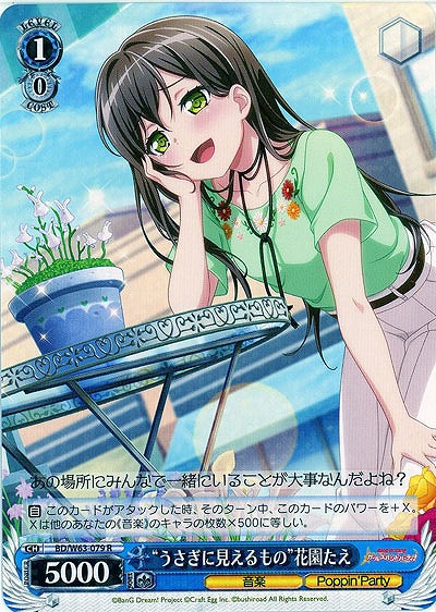 “うさぎに見えるもの”花園たえ 【BD-W63-079R】