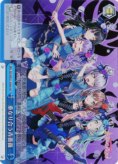 重なり合う青薔薇(HR) 【BD-WE23-030HHR】