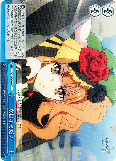 次はキミだ! 【WSCC-S48-100CC】