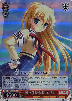 若き生徒会長 エリカ 【DC-WE08-12CH】