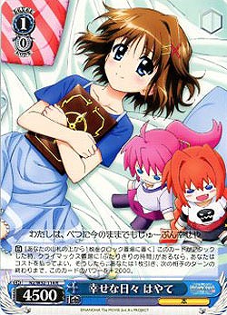 幸せな日々 はやて 【N2-W32-114R】