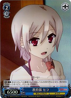 教育係セラ 【PI-SE24-38UH】