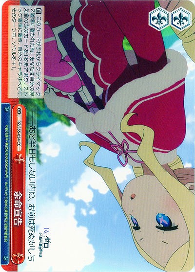 余命宣告 【RZ-S55-054CC】