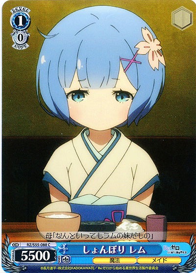 しょんぼり レム 【RZ-S55-088C】