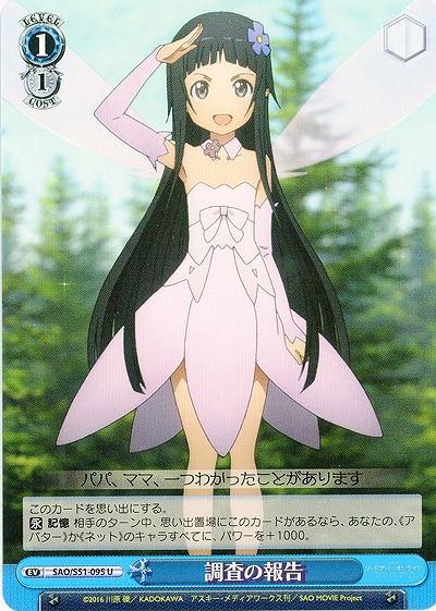 調査の報告 【SAO-S51-095U】