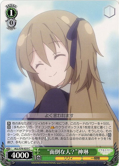 “面倒な人?”神琳 【ALL-S76-025C】
