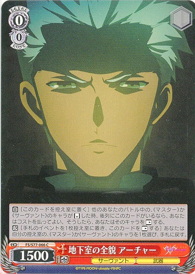 地下室の全貌 アーチャー 【FS-S77-066C】