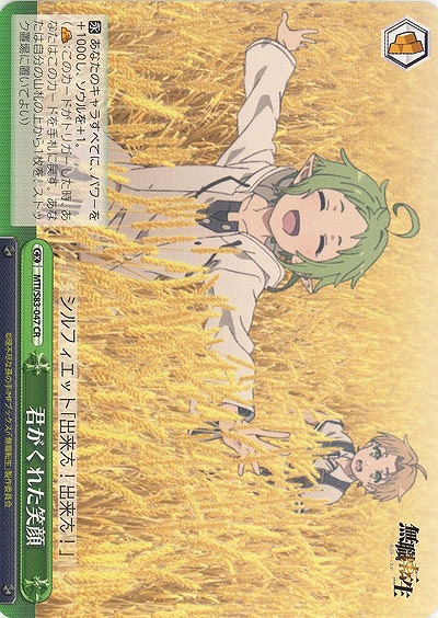 君がくれた笑顔 【MTI-S83-047CR】