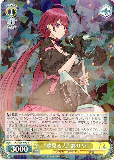 “夢見る人” ありや 【DCT/S86/006R】