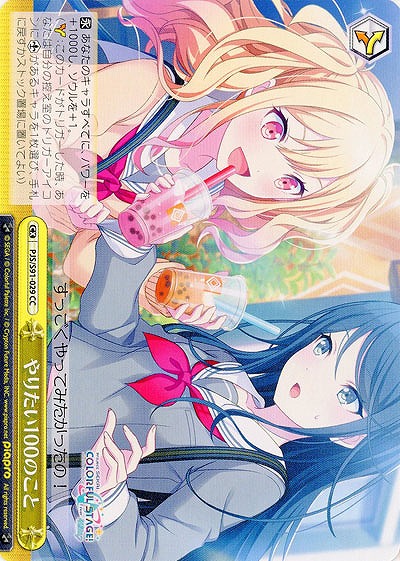 やりたい100のこと 【PJS-S91-029CC】