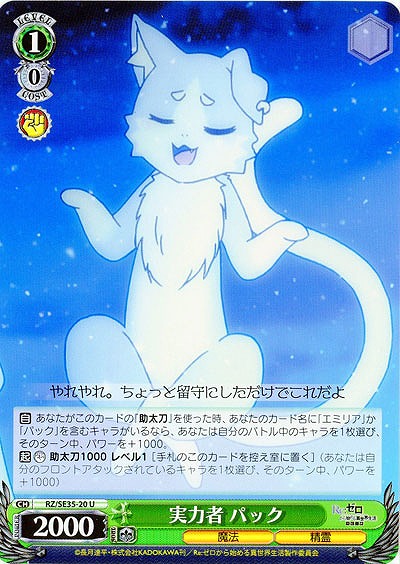 実力者　パック 【RZ-SE35-20U】