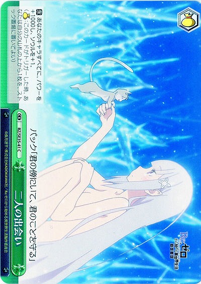 二人の出会い 【RZ-SE35-41C】