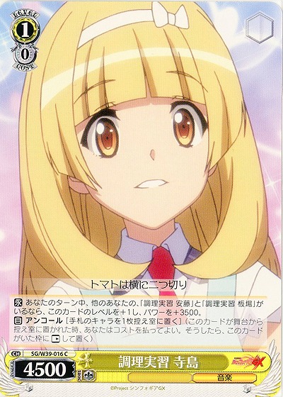 調理実習　寺島 【SG-W39-016C】