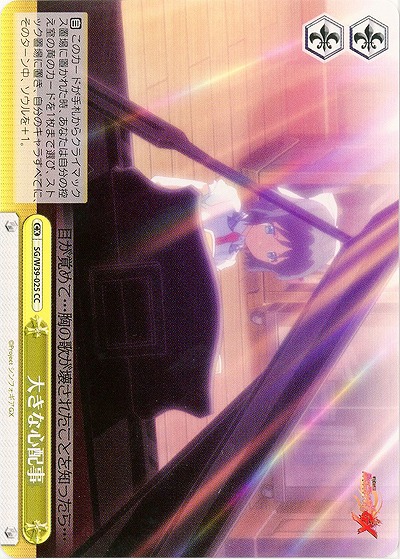 大きな心配事 【SG-W39-025CC】