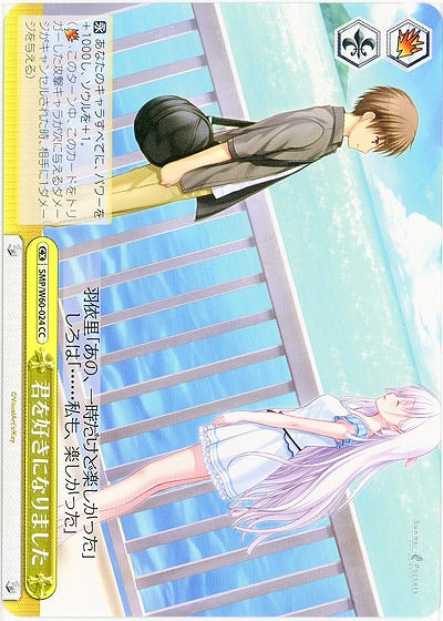 君を好きになりました 【SMP-W60-024CC】