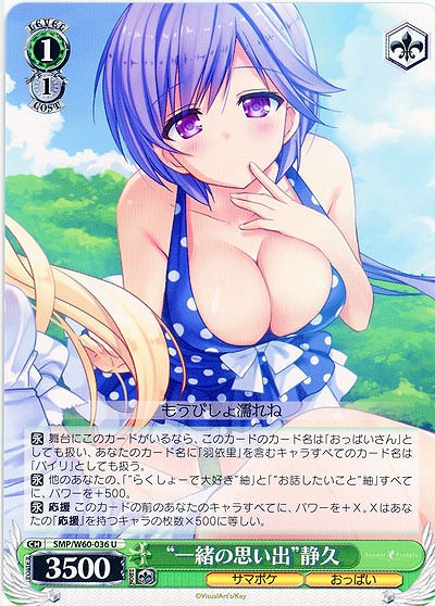 “一緒の思い出”静久 【SMP-W60-036U】