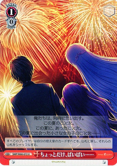 ちょっとだけ、ばいばい…… 【SMP-W60-072U】