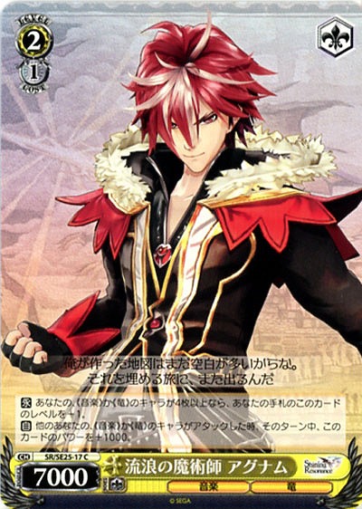 流浪の魔術師アグナム 【SR-SE25-17C】