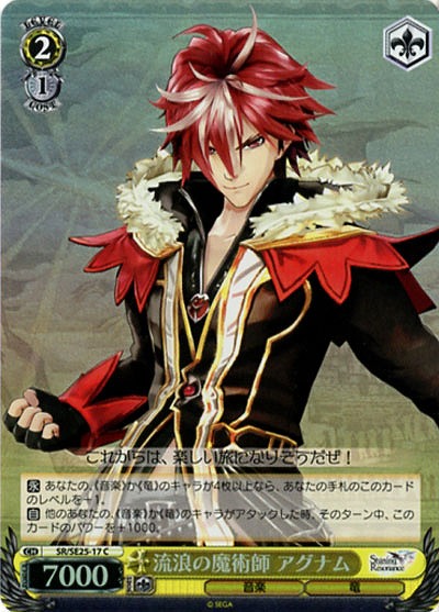 流浪の魔術師アグナム(ホロ仕様) 【SR-SE25-17Cp】