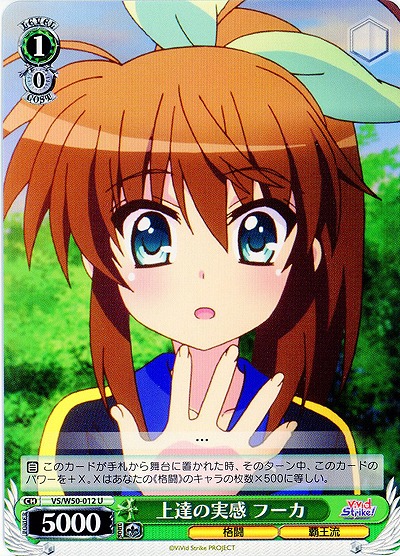 上達の実感 フーカ 【VS-W50-012U】