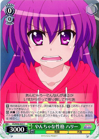 やんちゃな性格 ハリー 【VS-W50-023C】