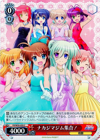 ナカジマジム集合! 【VS-W50-055C】