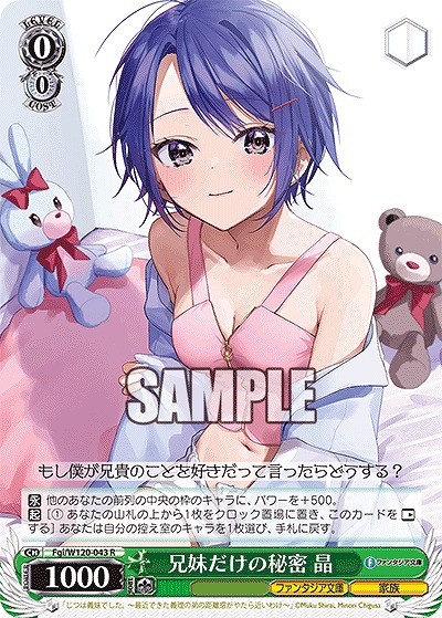 兄妹だけの秘密 晶 【Fgi/W120-043R】