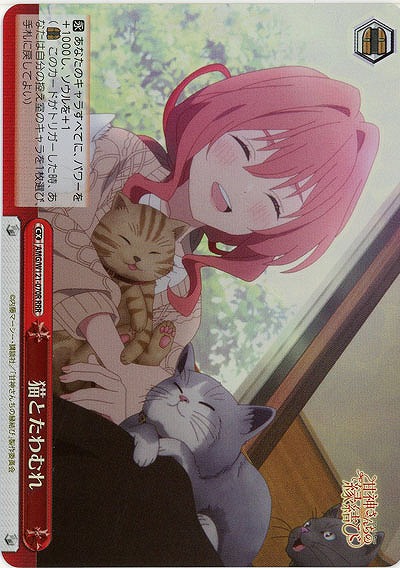 猫とたわむれ(ホイル) 【AMG/W121-070RRR】