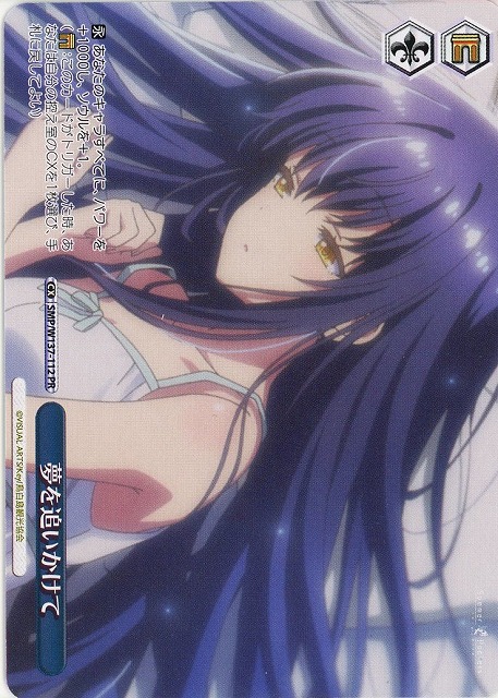 夢を追いかけて(PR) 【SMP/W137-112PR】