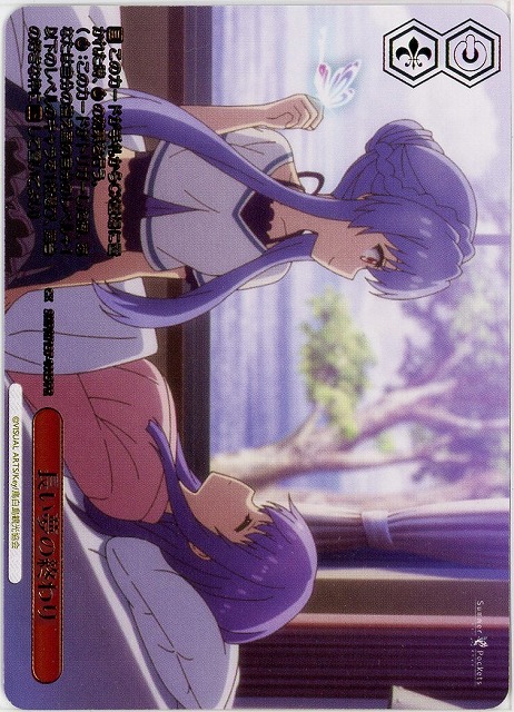 長い夢の終わり(PRP) 【SMP/W137-108PRP】