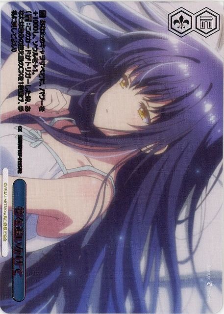 夢を追いかけて(PRP) 【SMP/W137-112PRP】