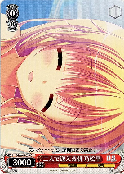 二人で迎える朝 乃絵里 【DS-W46-039C】