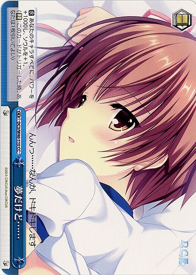 夢だけど・・・・・・ 【DC3-W46-110CC】